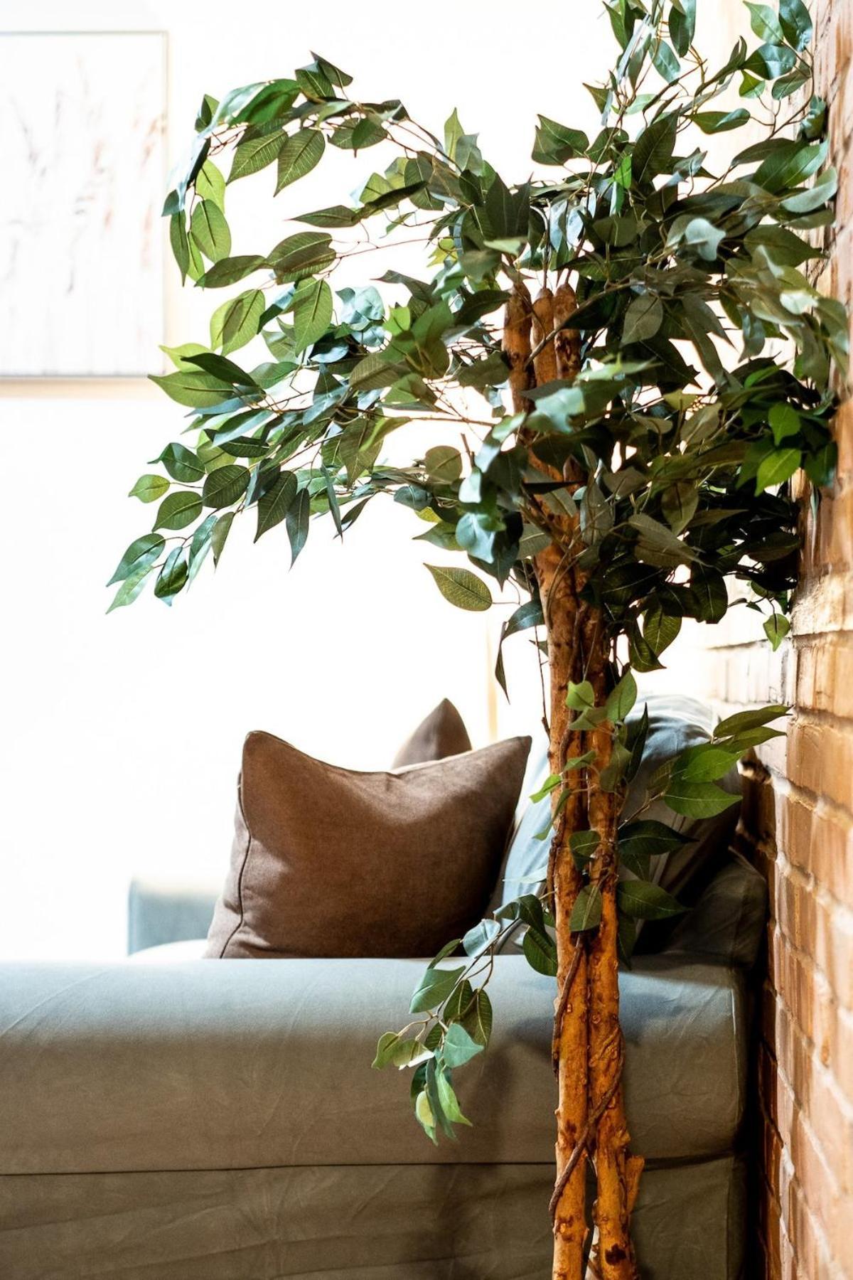 Great 3b Unit On Saint-urbain Apartment Montreal